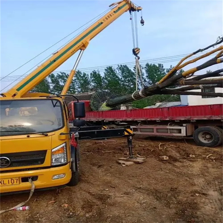 洪湖100吨吊车租赁费用怎么算？3大关键因素+省钱技巧全解析